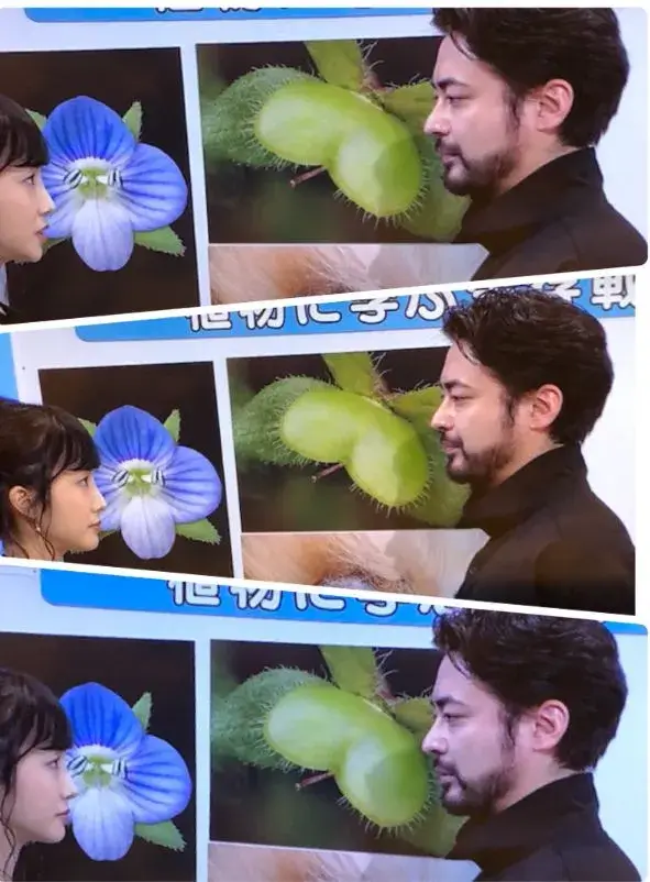 山田孝之と林田アナが向かい合って告白のようになっている